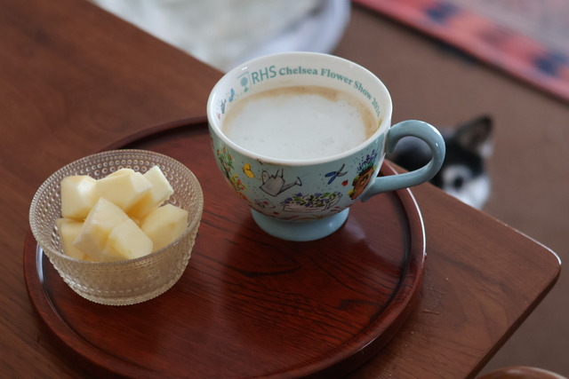 943ADC95-88F4-409C-9C95-D9592E46DE54