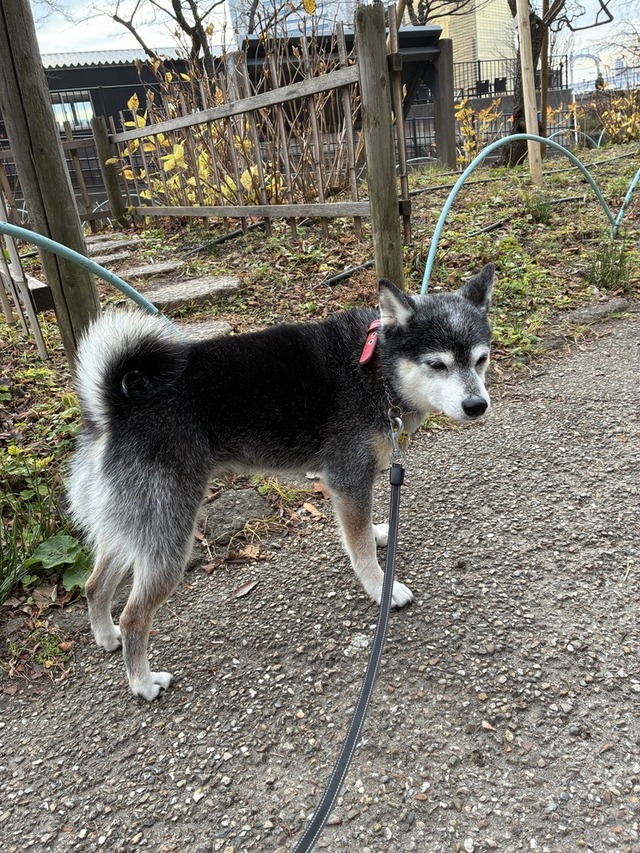 3DCA4831-EF46-48BB-BA40-E83C43CEF3CB_1_105_c