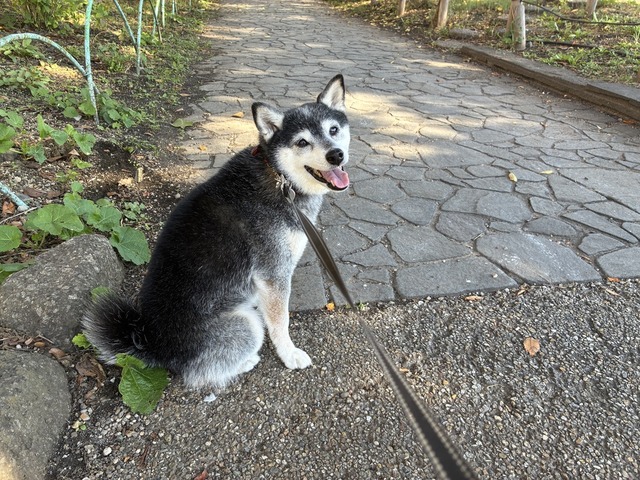 B5D28701-FBF8-41D0-ADE7-5B2A560AEB17_1_105_c