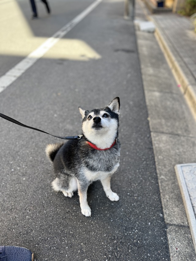 DC167791-CF16-46F3-9201-3D1DF30DFE80_1_201_a