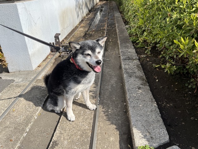 4CF5FB43-C18D-4F07-8B92-BCE60D85B9C3_1_105_c