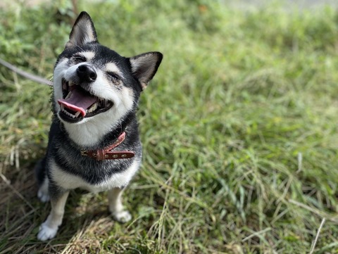 秋雨のジルサンダーとバーガーキングと生誕の宴