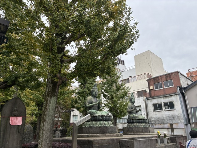 3AC28357-0AE3-4DEA-A531-E74FC3F1BC10_1_102_o