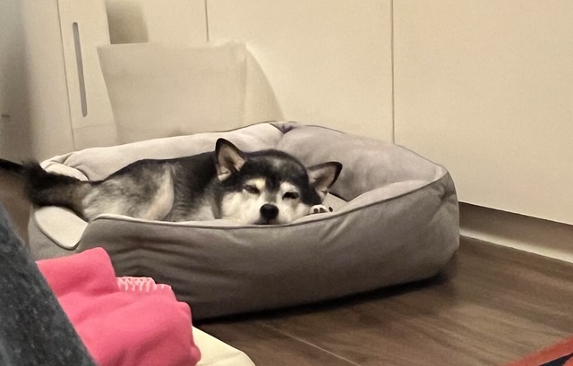 E234B2D8-4800-4AD7-9B34-FB300CC94D4A_1_201_a