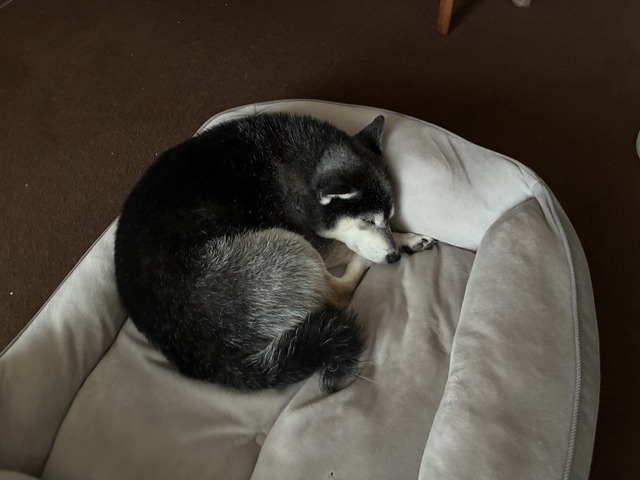 A7FF2A39-32F2-49BE-B505-5D0FAC6F35AD_1_201_a