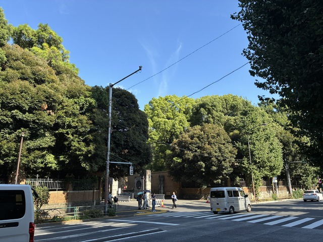 078931AC-CC3C-49B1-9F3F-4F123273C601_1_102_o