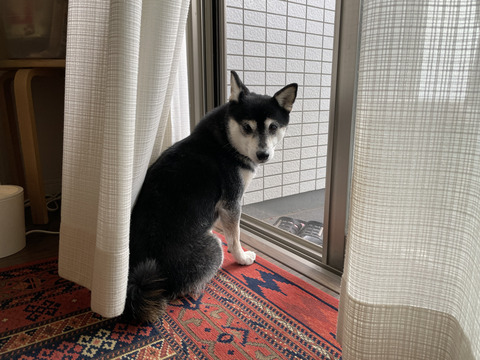 4468B25C-CC61-428F-8AAE-1ACBA8D6B2C9_1_105_c