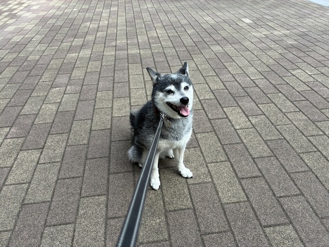 567FB7BB-17A9-4210-8759-8304FDF4762A_1_105_c