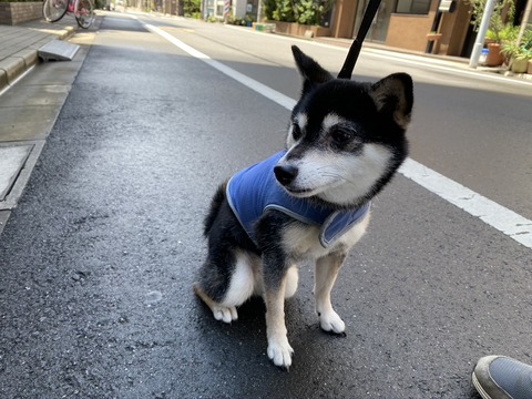 休日のさぼてんランチとリバーウォークとスシロー