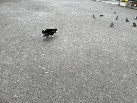 5B252CCE-8E60-492F-B17A-565F3A4C6645_1_105_c