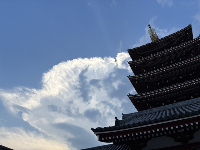 44DEB099-B611-4448-8C93-A0F95D255F6B_1_102_o