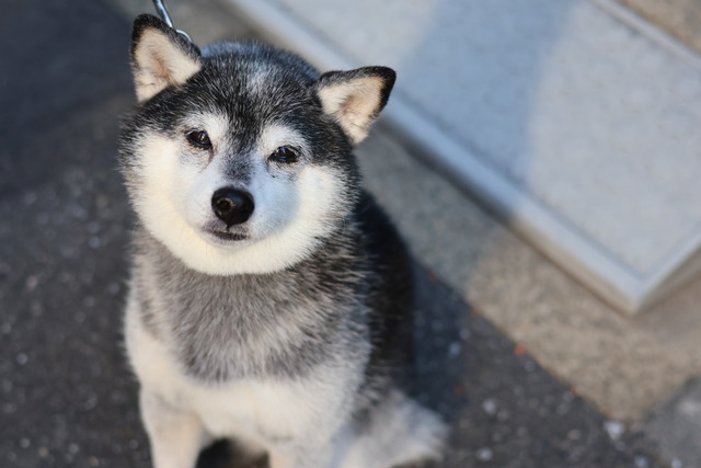 CA8EE83B-BC18-47BA-A4CE-98D7345F8057