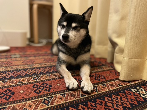 C74A8CA8-EEC2-4588-A18F-9679646C579D_1_105_c