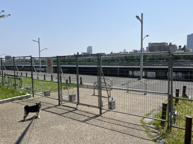 8250B67C-A518-4EEE-A6BB-445FBCE5B3B3_1_105_c