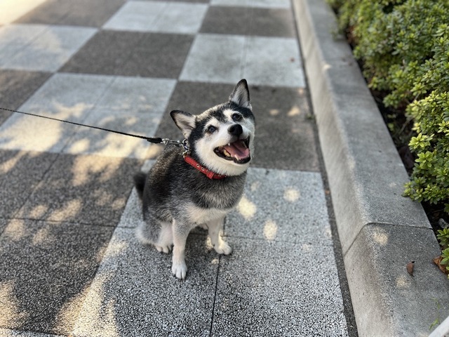 310DCC76-4EC5-45E1-BEE4-CC90E3853364_1_105_c