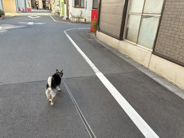 F5A7F044-16C7-4F9B-B3ED-B1C39E109CF1_1_105_c