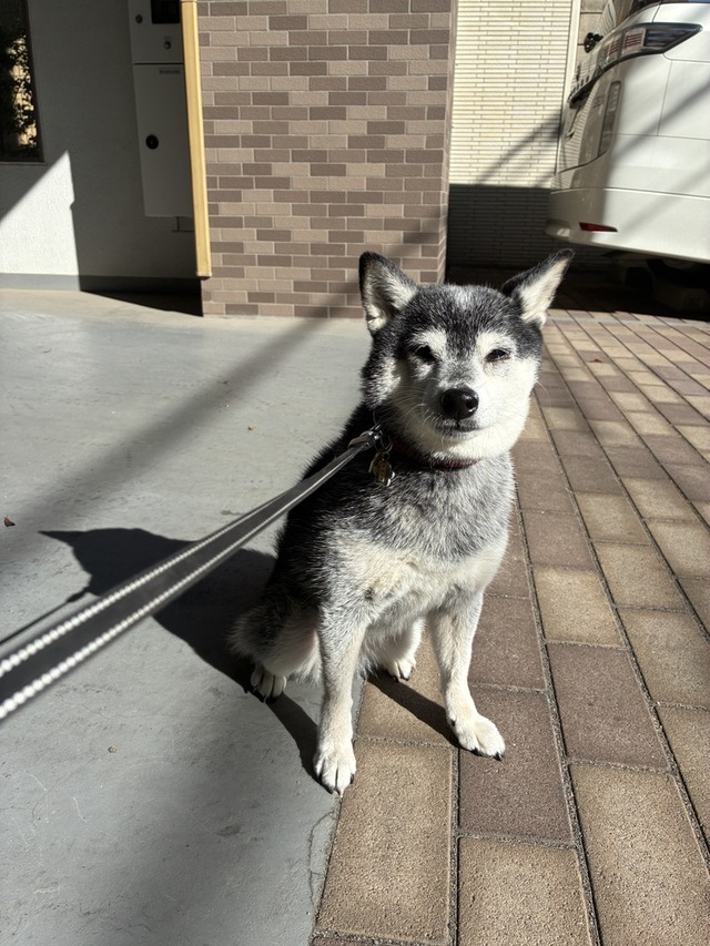 075C3880-B8CC-4424-908A-E83EDC7DCEF8_1_105_c