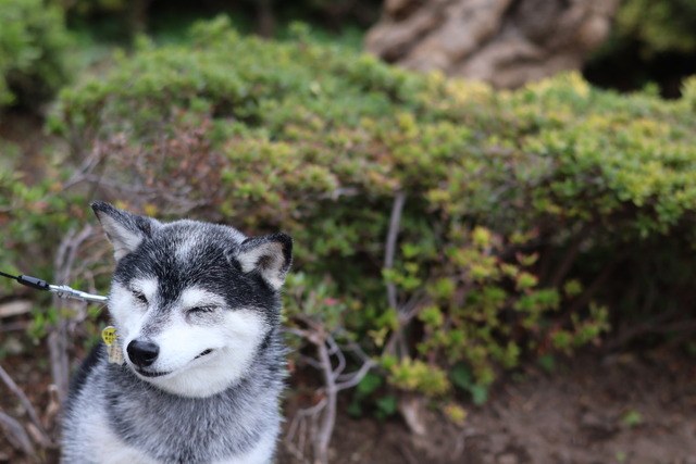 F05DDA91-E526-4CE9-BADB-C54211F57DF9_1_105_c