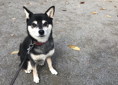 E585AB1A-6058-425B-9CEC-7323BBDC80BE