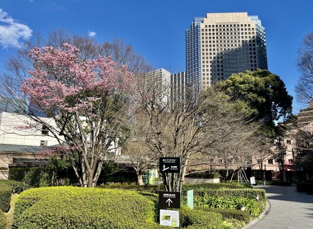 157C705A-9DA6-442A-BC72-FFA00945E6EA_1_201_a