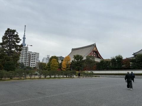 D1A74A86-A6FF-4208-BD69-43D6C8177DAF_4_5005_c