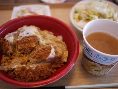孤独な豆柴ジーラと五嶋みどり