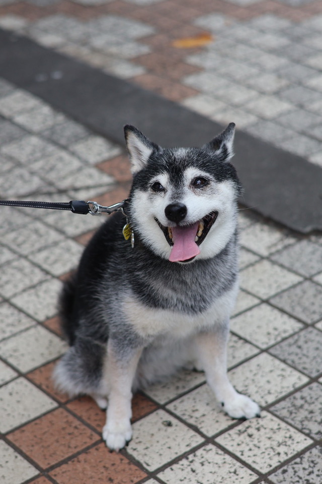 D5729C7D-E2F7-4580-9E3C-07F1AD4DD601_1_105_c