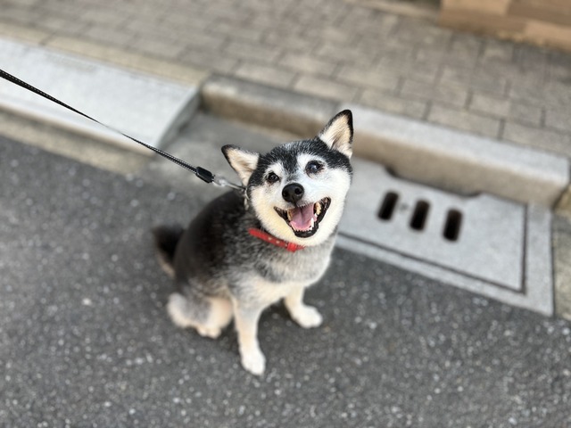 6B42280D-0609-4B34-B7D3-E1BFBD0BF1AB_1_105_c