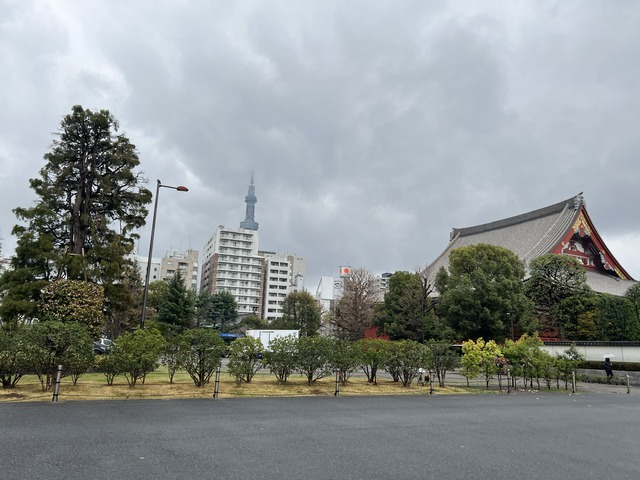 245332F1-F868-4E82-A0EC-626D43F550E4_1_102_o