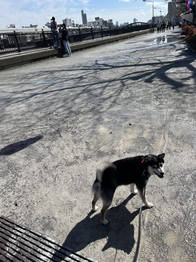 7C8A5165-5B2E-4375-8E96-C61A30BE9ED8