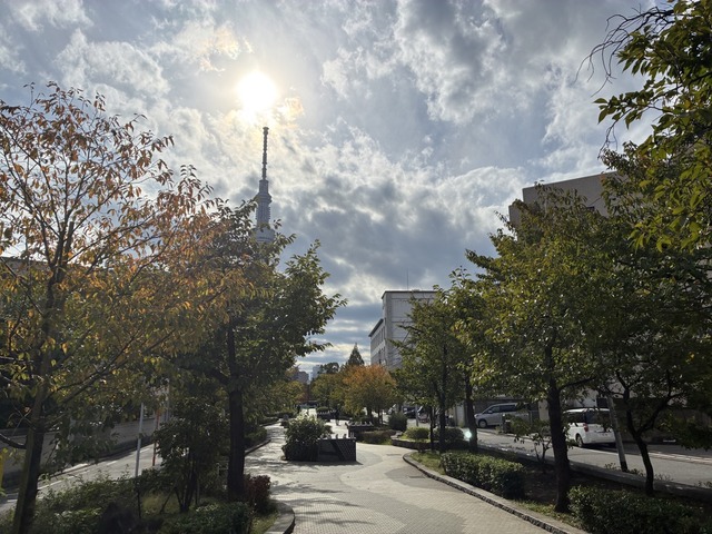 24A9BE3A-F38C-441D-A8AF-74B6C425AF9B_1_105_c