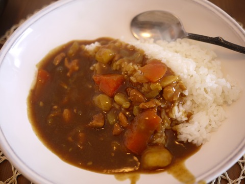 徳川家康とチキンカレーとハリセンボン