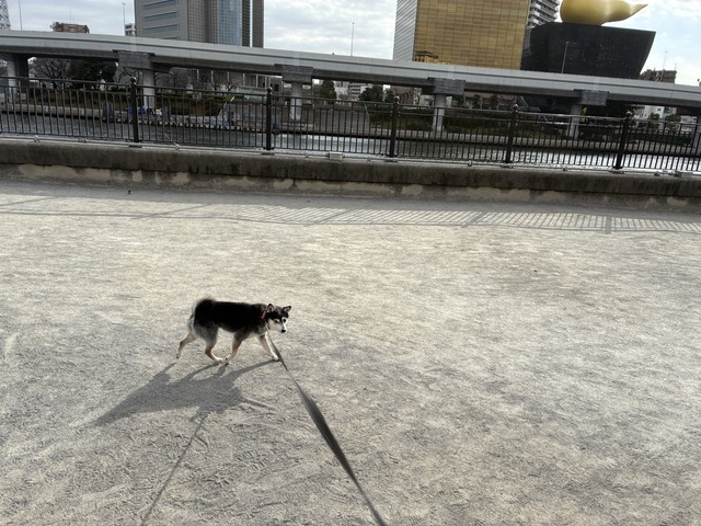 21A0EAAB-969D-4228-895E-3251DA3E83B4_1_105_c