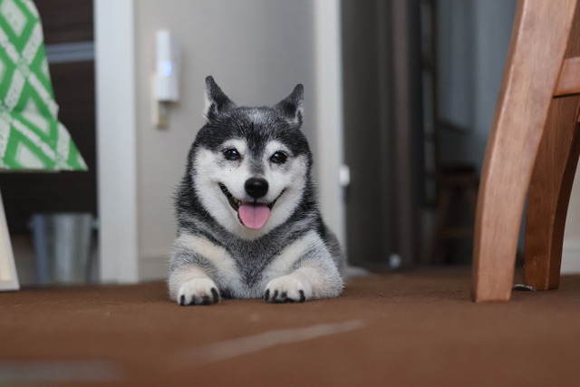 F305E5B8-EA0C-4539-8CDC-4A981C4D976B_1_105_c