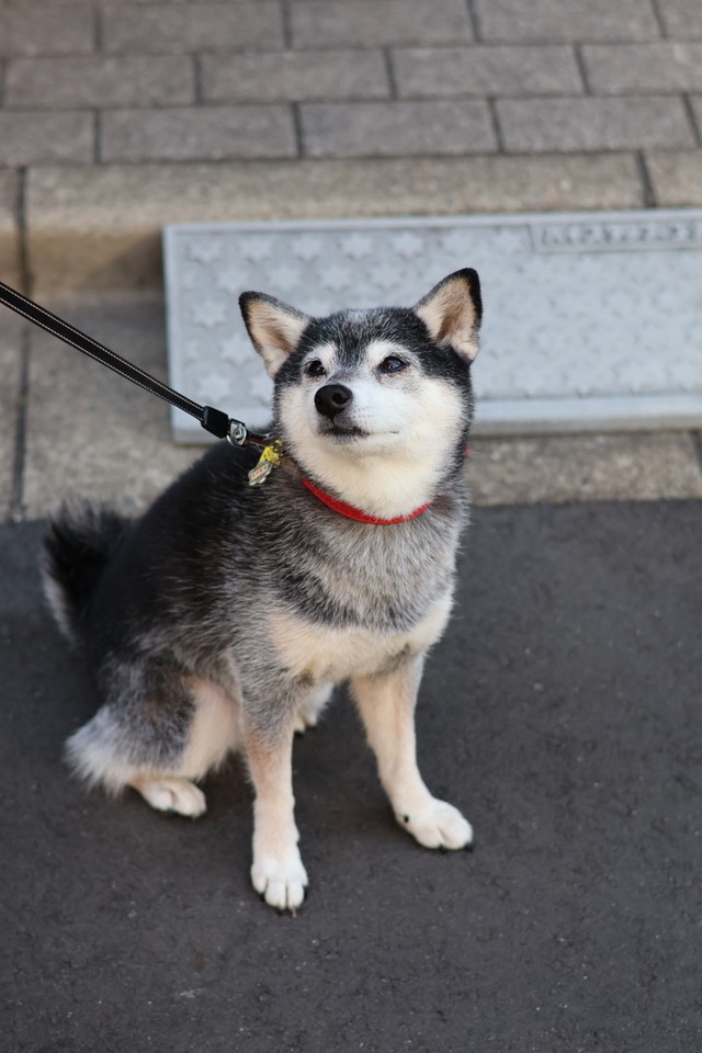 F6966499-3278-4E46-B500-2FD905AE6EA4_1_105_c