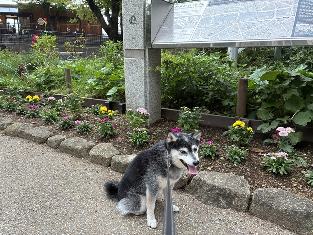 FC59633B-A514-43E2-A52C-6429A36EBB65_1_105_c