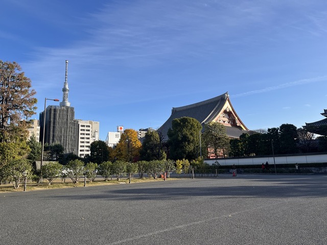 86D7B2D4-D62E-493C-BAE6-E871013C71D7_1_105_c