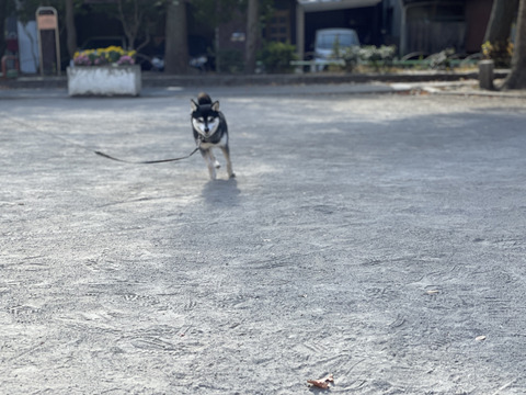 E343F075-8A39-4C44-8277-7C1BB54C3991_1_105_c