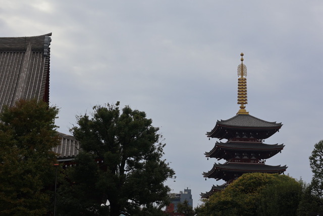 4110FBBB-28F3-4CA0-983A-F0D16AA62974_1_105_c