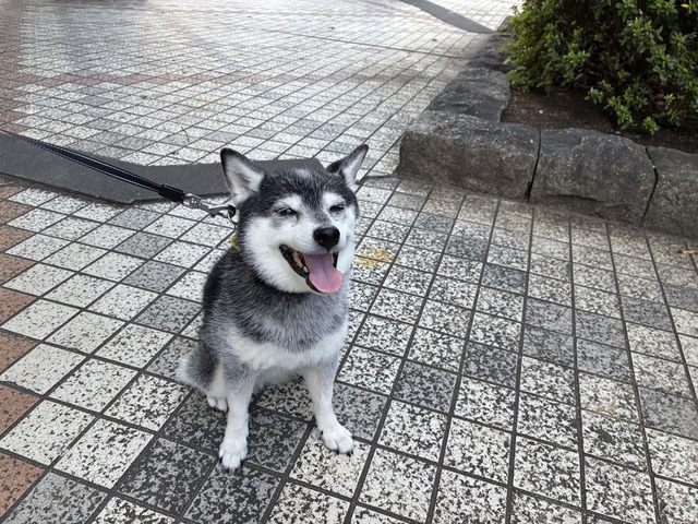 897F58C2-8309-455B-A75A-E4958ECFCEE5_1_105_c