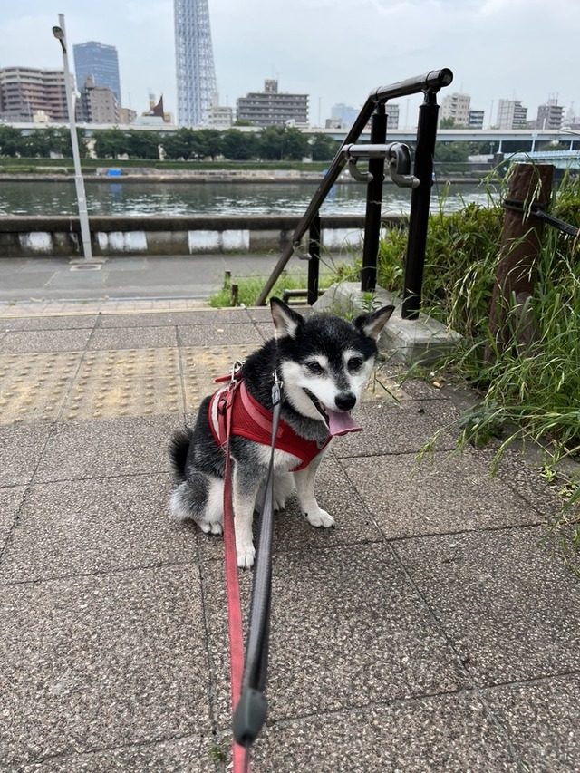 CE6AFAF7-F28D-4C2E-856F-76144DF0BA26_1_105_c