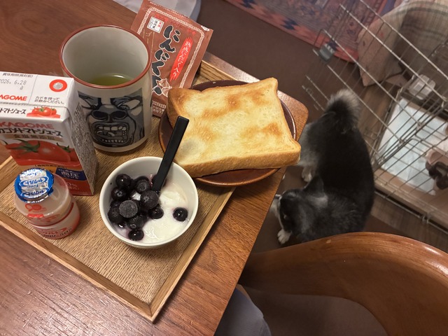 808AD227-A7E6-460A-8AC0-DB51938B8158_1_201_a