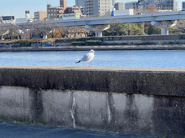 4D8BDF74-E9EE-4922-93B1-5D5FD8A3ACA3_1_105_c