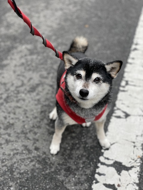 二二六事件のクラシックバーガーとほっこり中華スープ