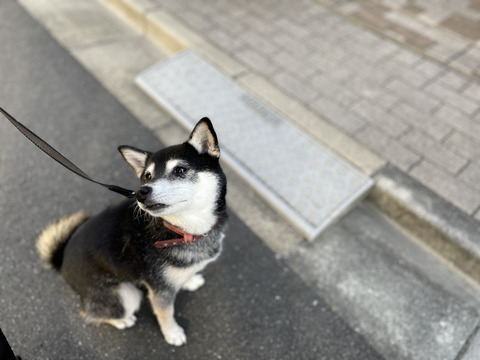 EF11035A-AAB5-41A3-9627-B7F29D2F1D22_1_105_c