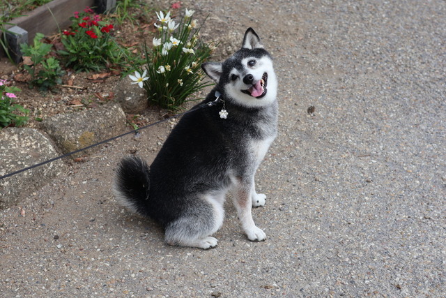 2DEC246C-3A93-41F8-84BE-D85151F0B612_1_105_c