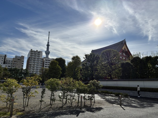 52A331FD-5C7A-4F5C-A09D-8FD12F42DD43_1_102_o