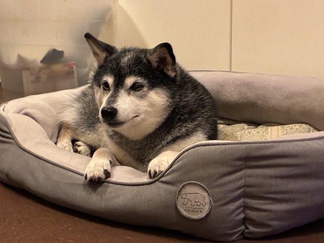 ACBFD209-4183-4919-A6B3-252461D4B7D9