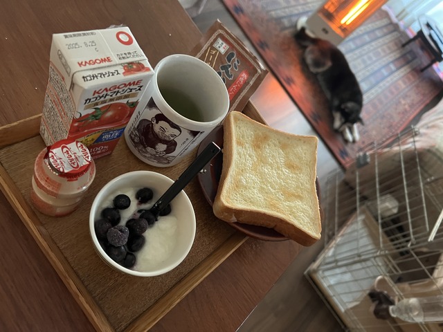 D97675D2-C51F-4883-AB1C-5C5BA81D341E_1_201_a