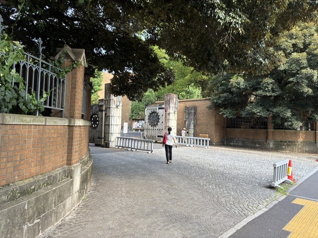 50CC0C36-22E3-4DF6-81C8-447120263DA7_1_105_c